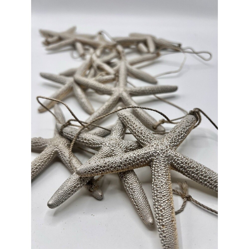 Silver Starfish Garland 12 Real Sea Stars Coastal Christmas Beach Decor Twine